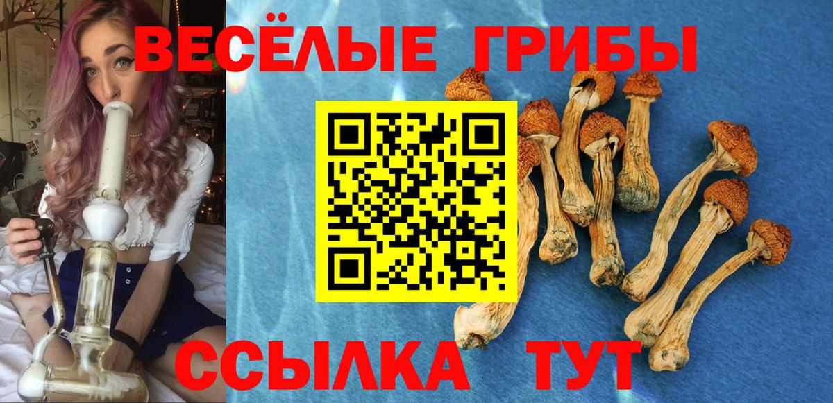 Галлюциногенные грибы Psilocybine cubensis Екатеринбург