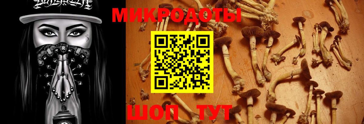 Екатеринбург  Псилоцибиновые грибы GOLDEN TEACHER  Вход с VPN  Псилоцибиновые грибы Cubensis 